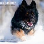 Laval Police Dog Calendar 2017