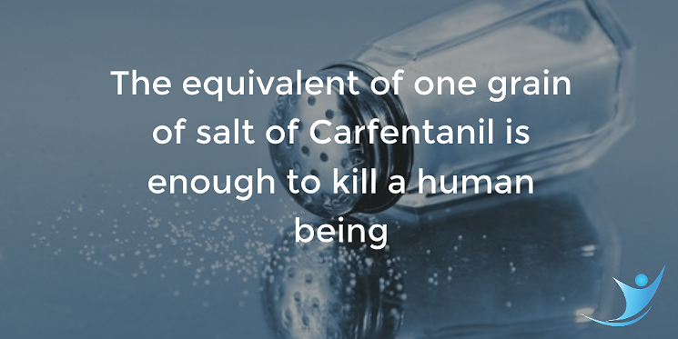 An anti-Carfentanil