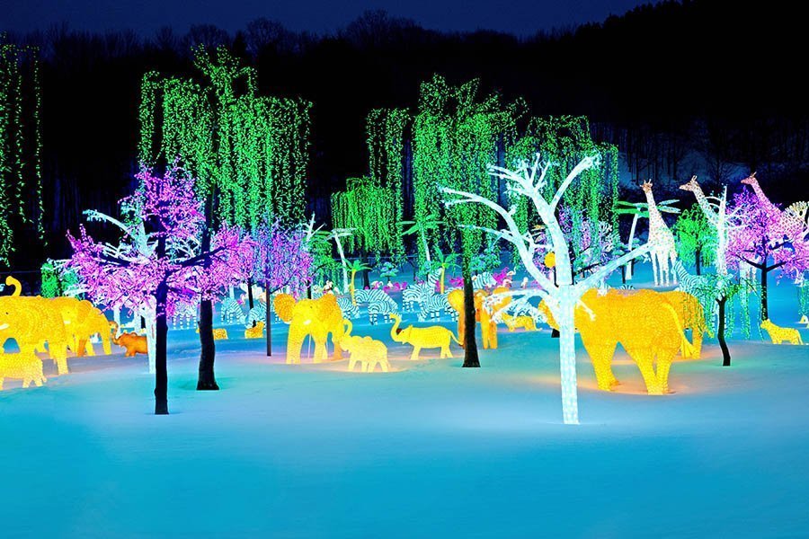‘Illumi’ light show coming to Laval in time for Christmas