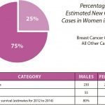 Breast-Cancer-Stats-web
