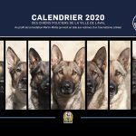 Dog-Calendar-2020-web