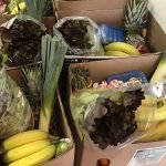 Photo 2 IMG_1195-web