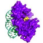 JGHGeneticResearch