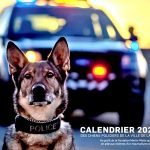 LPDCanineCalendar