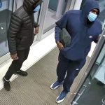 Incendie criminel