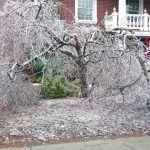 NorthShoreIceStorm3