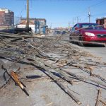 TLN3108ChomedeyTreeDamage3