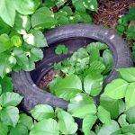 TLN3112SecondStSanitation2