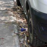 TLN3112SecondStSanitation3