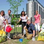 TLN3114MontmorencyParkProposal2