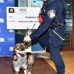 LPDDogCalendar2024-2