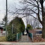 TLN3206PieXParkControversy2