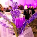 TLN3223ShieldOfAthenaLilacGala2024-7