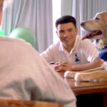 TLN3305SuzukiAsistaFoundation3