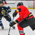 LavalPoliceVsFireHockey