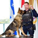 TLN3320LPDDogCalendar2025-2