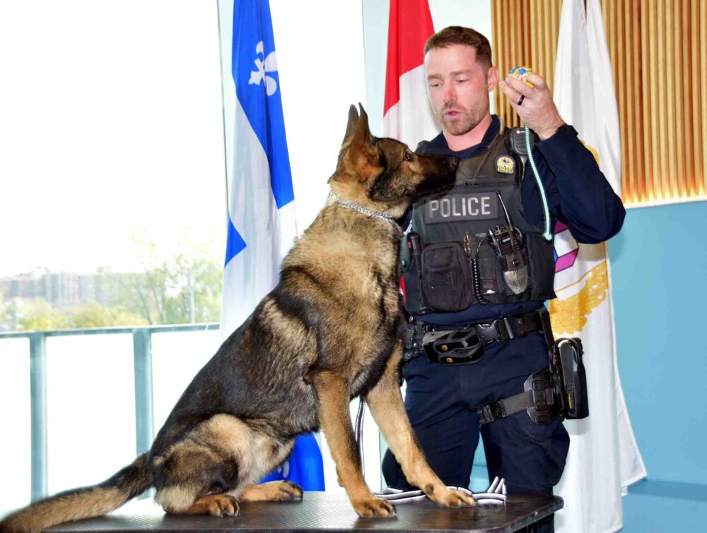 Laval Police Dept.’s 2026 K-9 calendars now on sale for $5 each