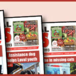 TLN Year in Review 2025 Banner