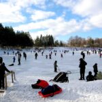 TLN3303LavalEnBlanc2025-1