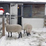 TLN3403ActionMiniFarmDemo2