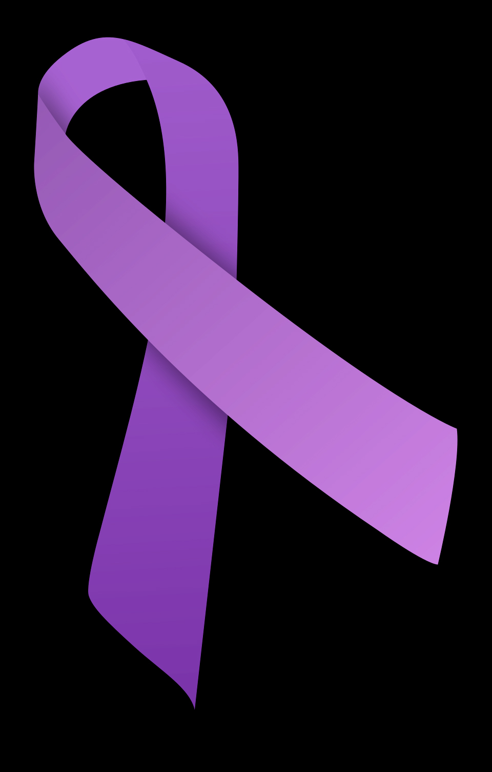Quebec National Assembly passes Bill 4, creating an added measure against domestic violence